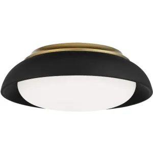 15 in. LED Flush Mount Light Black finish