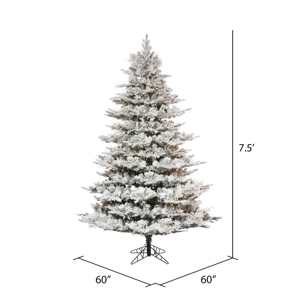 7.5' x 60" Flocked Kiana Christmas Tree Low Voltage LED Warm White Lights