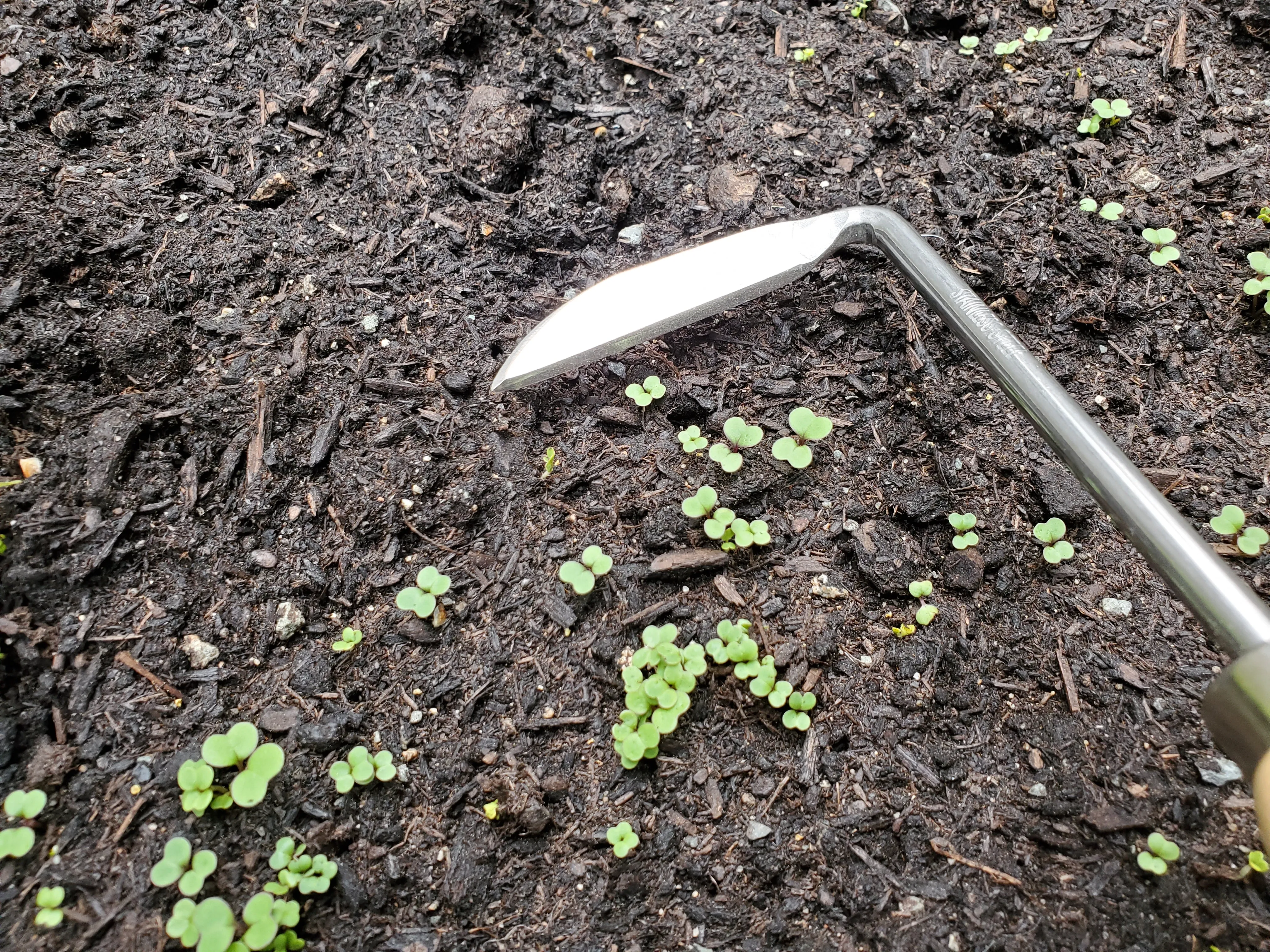 Arius Garden Stainless Steel Weeding Finger