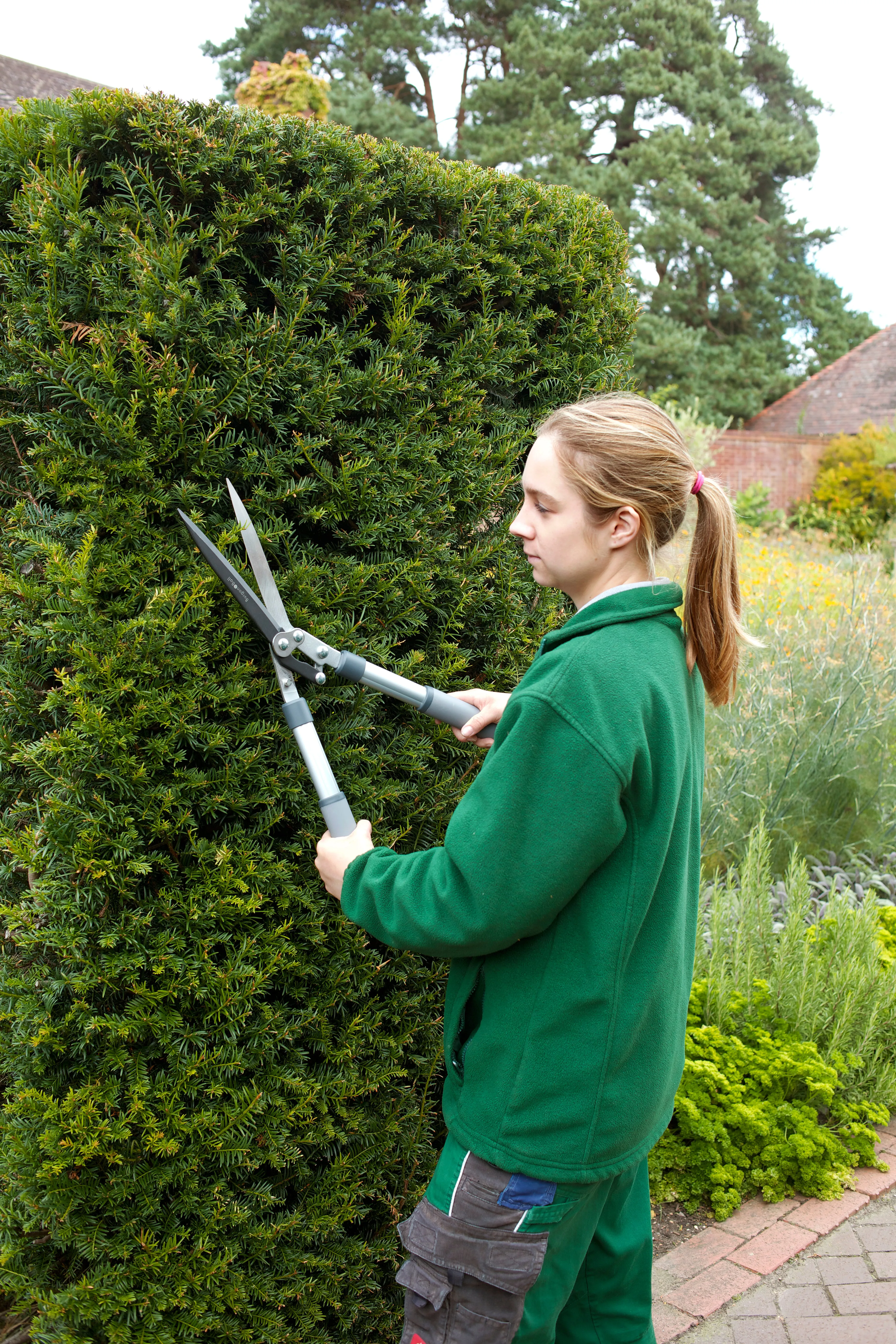 Burgon & Ball RHS Hedge Shears