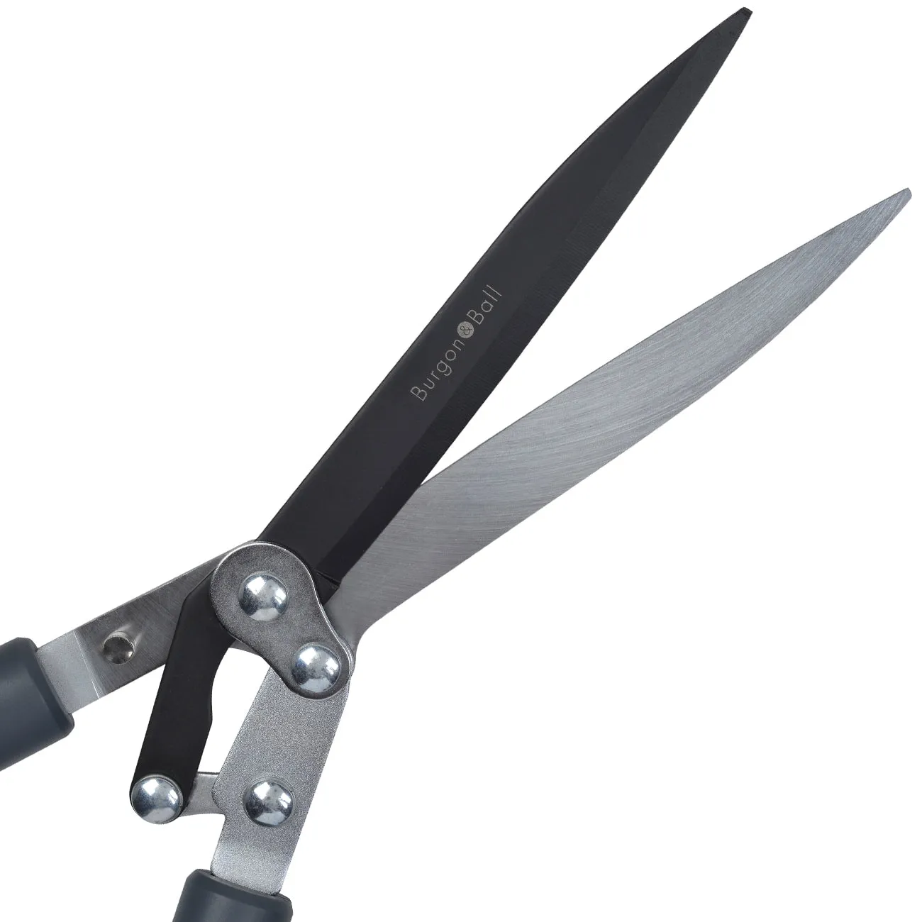 Burgon & Ball RHS Hedge Shears