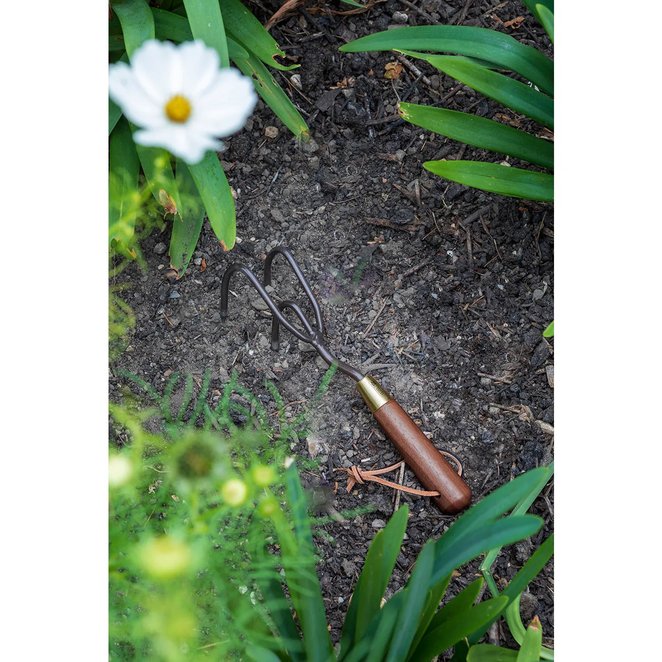 Claw Cultivator - National Trust
