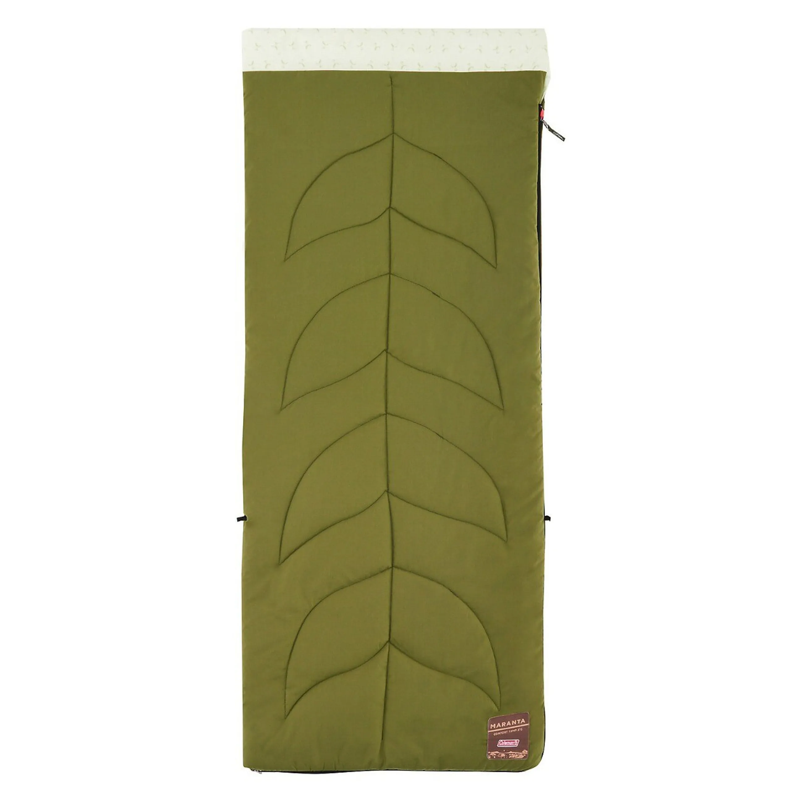 Coleman Maranta S