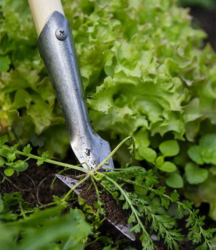 Darlac DP2592 SH Weeding Spear Hoe