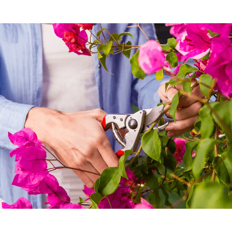 FELCO 14 Pruning Secateurs Ergonomic Small