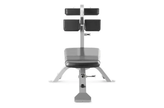 FreeMotion EF213 Abdominal Bench