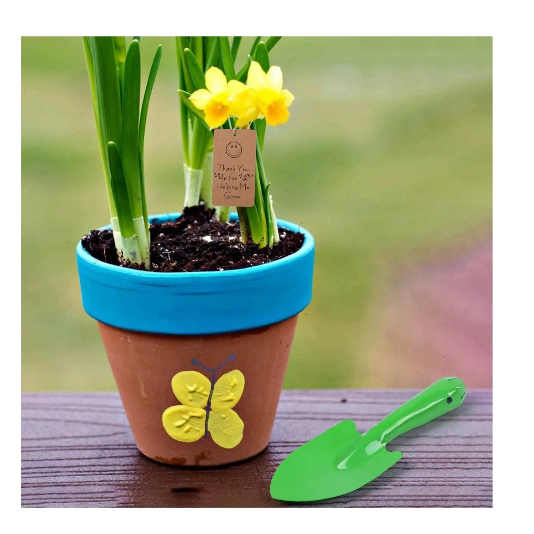 Newflager Mini Colorful Metal Hand Shovel | Trowel Set Garden | Pack of 5