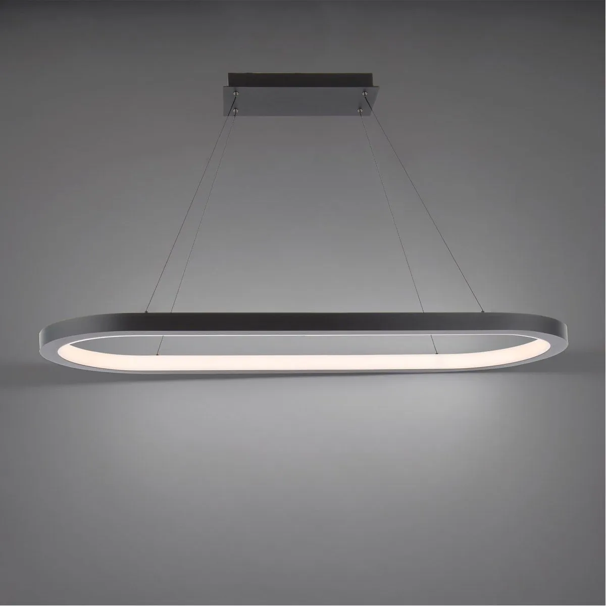 Racetrack 46 in. LED Pendant Light 3500K Black Finish