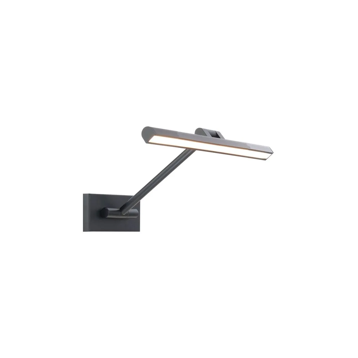 Reed 25 in. Rotating LED Picture Light 3000K Black Finish