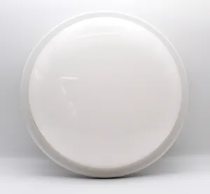 Round White LED Warm White Bulkhead 15 Watts