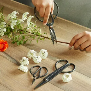Scissor Set For Garden