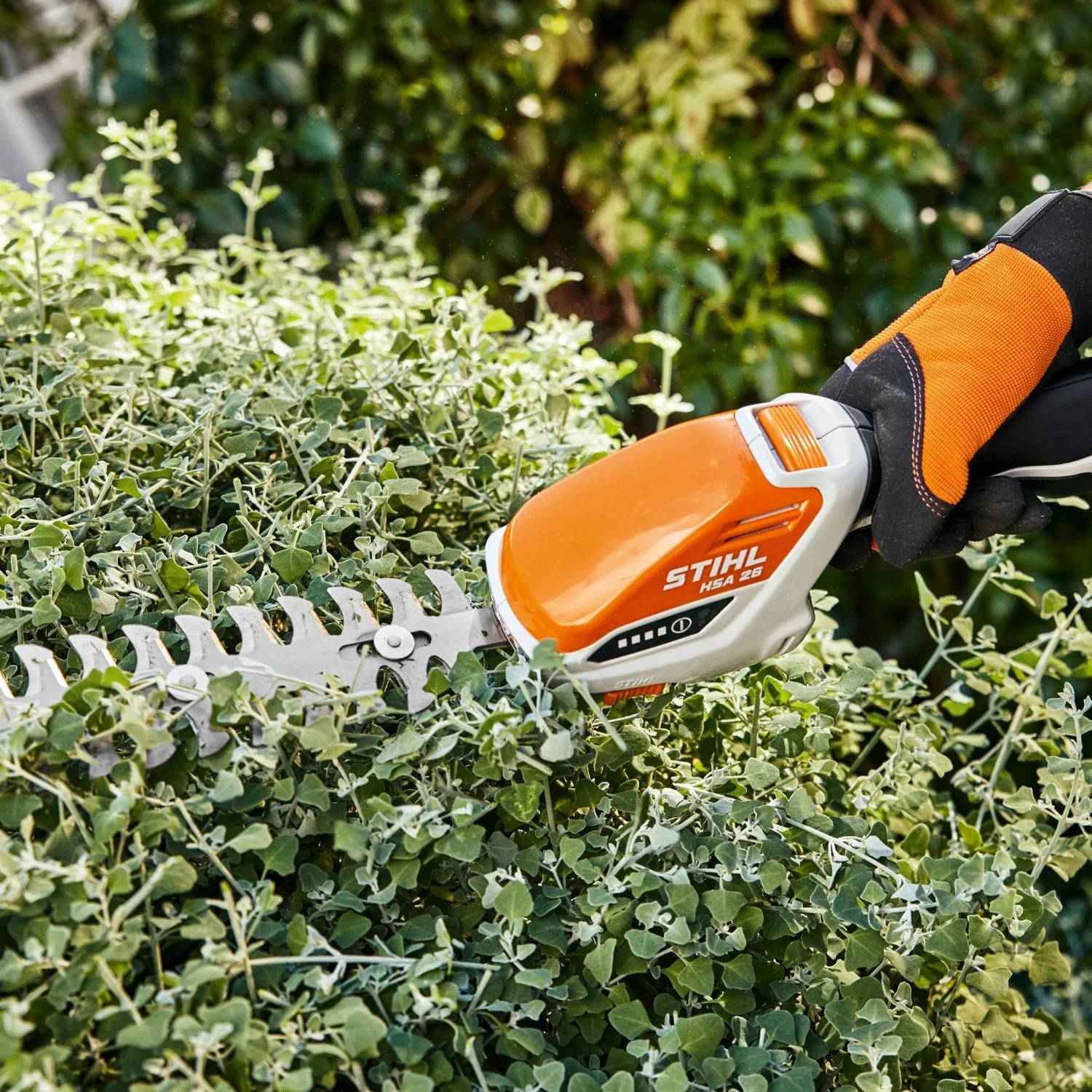 Stihl HSA26 Battery Garden Shears Set