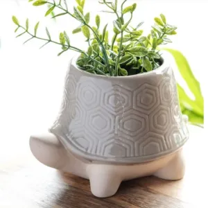Turtle Planter