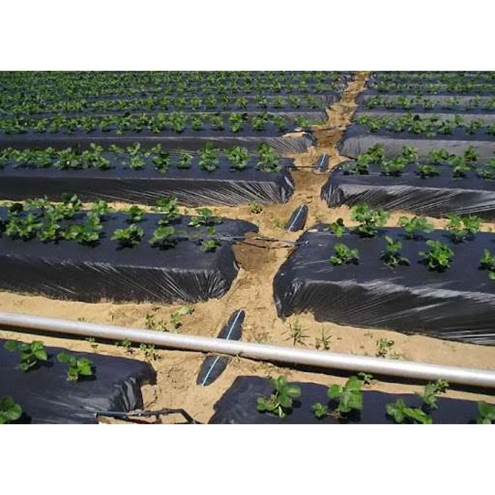 Weeding Mat 1 x 50m